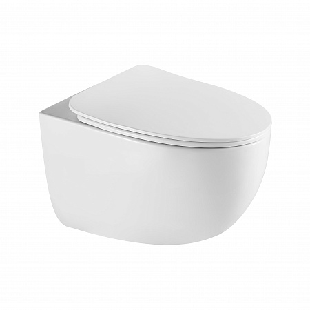 Подвесной унитаз безободковый Terminus Енисей Монолит 560х390 белый Сызрань - фото 2